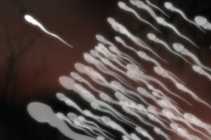 microscopic sperm image