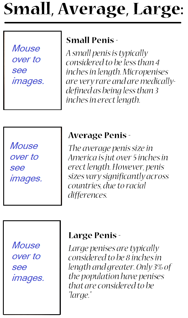 Penis Sizes, Small, Average, Large