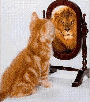 self-confidence