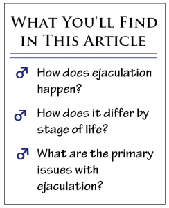 Ejaculation Article
