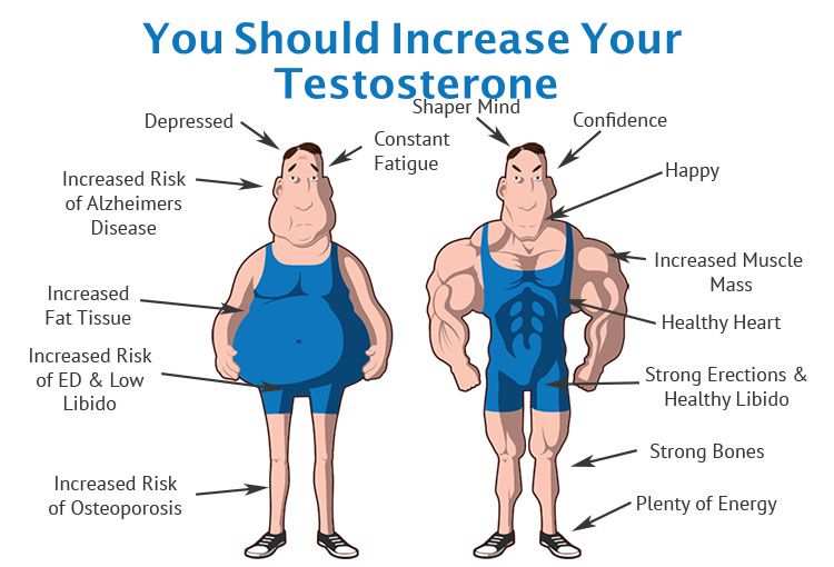 increase-your-testosterone
