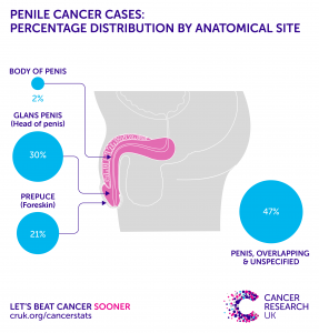 penis cancer incidence