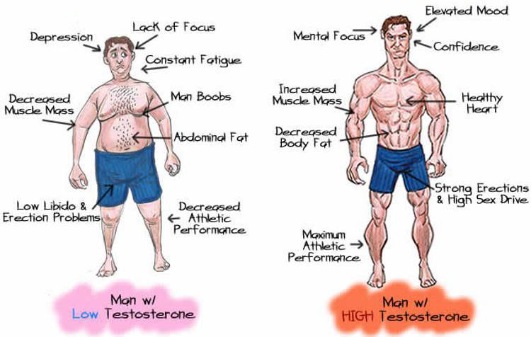Benefits of high testosterone