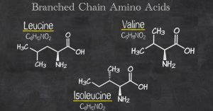 branched chain amino acids