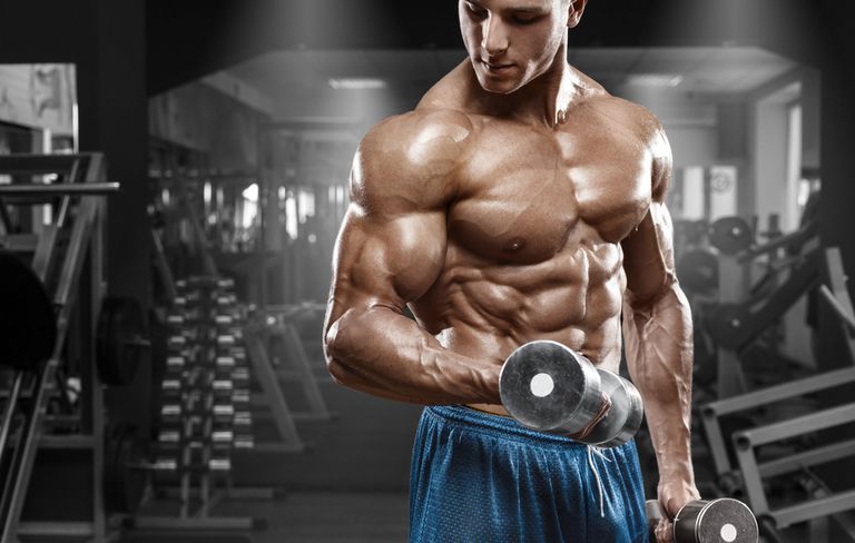 Man Lifting Weights - Body Building